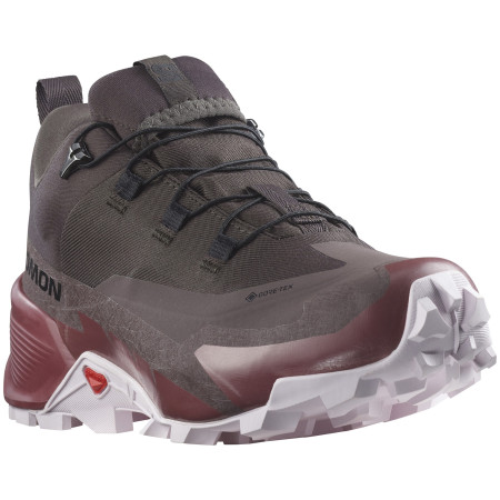 Damen Trekkingschuhe Salomon Cross Hike 2 Gore-Tex braun Shale / Wild Ginger / Cradle Pink