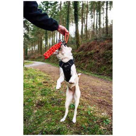 Hundespielzeug Mountain Paws Braided Chew Rope Dog Toy