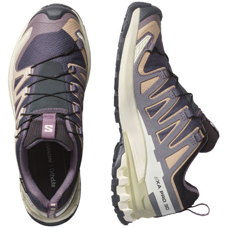 Damen Wanderschuhe Salomon Xa Pro 3D V9 Gore-Tex