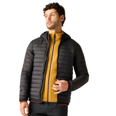 Herren-Steppjacke Regatta Haile