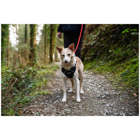 Hundeleine Mountain Paws Rope Dog Lead
