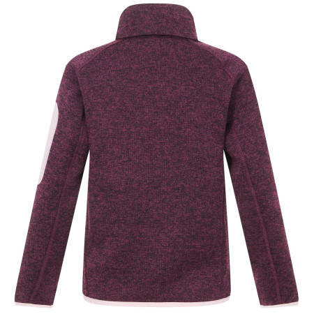 Kinder-Sweatshirt Regatta Junior Newhill Fig Powder Lilac