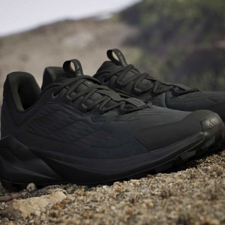 Wanderschuhe Adidas Terrex Trailmaker 2