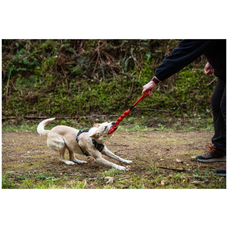 Hundespielzeug Mountain Paws Braided Chew Rope Dog Toy