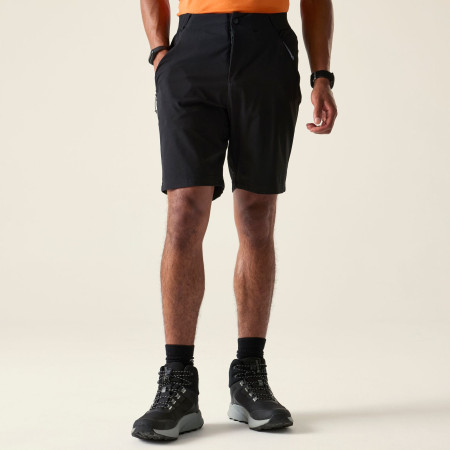 Herrenshorts Dare 2b Torrek Lite Short