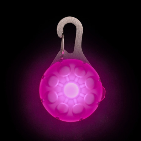 Leuchtendes Hundehalsband Nite Ize SpotLit Rechargeable Collar Light