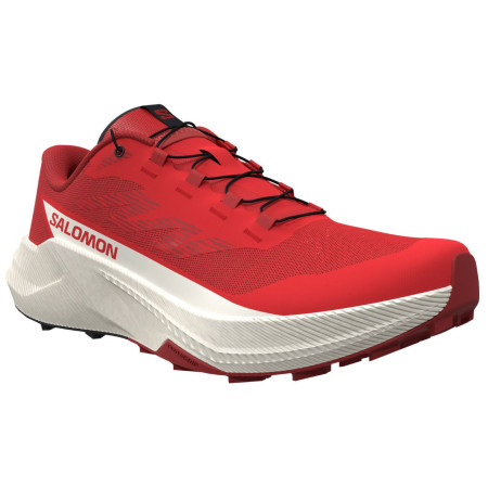 Herrenschuhe Salomon Pulsar