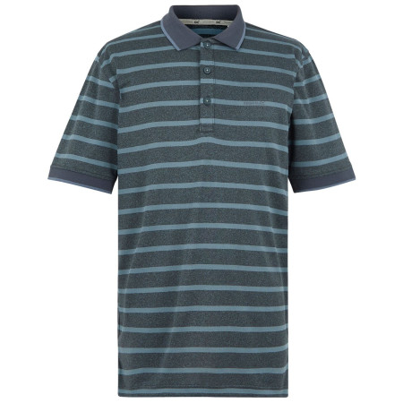 Herren-T-Shirt Regatta Kildra grau StormyWeathr