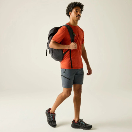 Herrenshorts Regatta Xert Stretch Shorts