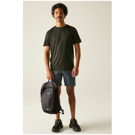 Herren-T-Shirt Regatta Fingal Edition