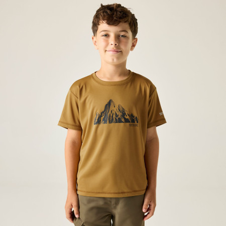 Kinder-T-Shirt Regatta Alvarado Wood Brown