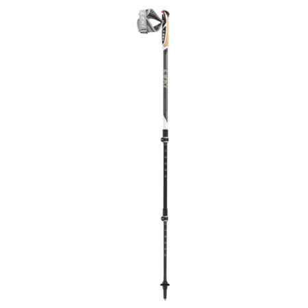 Nordic Walking Stöcke Leki Poles Traveller Carbon