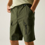 Herrenshorts Regatta Arlery Shorts