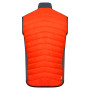 Herrenweste Dare 2b MountaineerIIVest