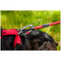 Hundeleine Mountain Paws Rope Dog Lead