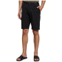 Herrenshorts Alpine Pro Zamb 3