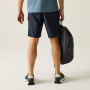 Herrenshorts Regatta Arlery Shorts