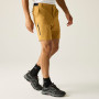 Herrenshorts Regatta Anti-Insect Travel Light Shorts