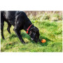Hundespielzeug Mountain Paws Dog Wave Treat Ball Dispenser