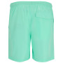 Herrenshorts Regatta Mackleyna Swim Short