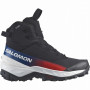 Herrenschuhe Salomon Crosstrak Powder Waterproof Equipe