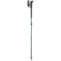 Trekkingstöcke Leki Makalu FX Carbon AS
