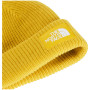Mütze The North Face Salty Lined Beanie