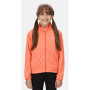 Kinder-Sweatshirt Regatta Jnr Highton LteII