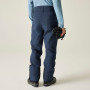 Herrenhose Dare 2b Achieve III Pant regular