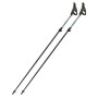 Nordic Walking Stöcke Fizan Tekno Race Impulse grau Grey