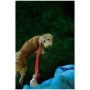Hundeleine Nite Ize LED NiteDog
