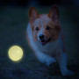 Hundespielzeug Nerf Dog LED launcher Air Strike