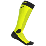 Ski-Socken Dynafit Speed Dryarn Sk W