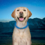 Leuchtendes Hundehalsband Nite Ize NiteHowl® Rechargeable LED Safety Necklace