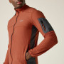 Herren-Sweatshirt Regatta Baslinn