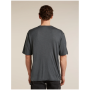 Herren-Funktionsshirt Icebreaker Merino 150 Tech Lite SS Relaxed Tee