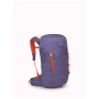 Farbe: lila
