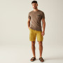 Herrenshorts Regatta Shorebay Shorts II