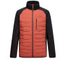 Größe: L / Farbe: orange/schwarz