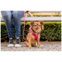 Hundeleine Curli Stretch Comfort Leash