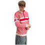 Herrenpullover Dale of Norway Cortina 2026 Masc. Sweater