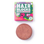Shampoo Shower Blocks Solid Shampoo - Mint & Grapefruit rot