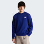 Herren-Sweatshirt The North Face M Evolution Box Nse Regular Crew