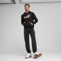 Herren-Sweatshirt Puma ESS No. 1 Logo Hoodie FL