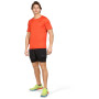 Herrenshorts Alpine Pro Gajer