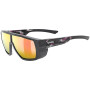 Kategorie Sonnenfilter (Kat.): S3 / Farbe: schwarz/rosa