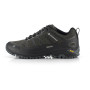 Herrenschuhe Alpine Pro Musswe