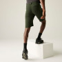 Herrenshorts Regatta Highton Shorts Long II
