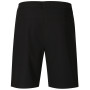 Herrenshorts Alpine Pro Bak