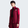 Damen-Sweatshirt The North Face W Mistyescape Fleece